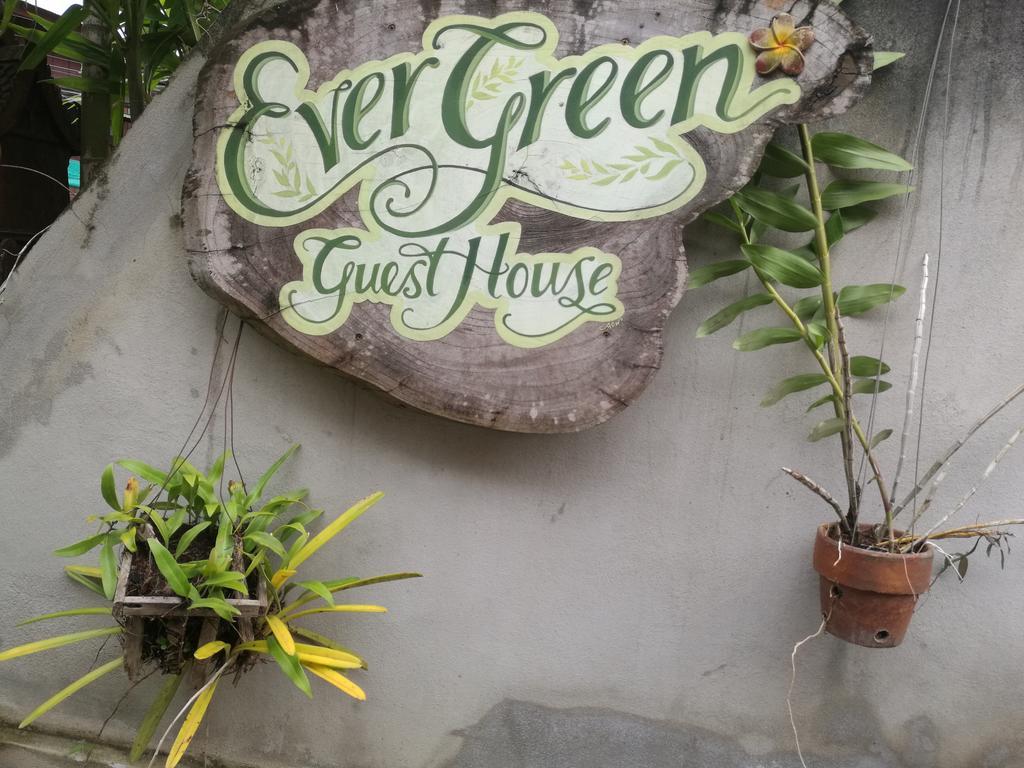 Ever Green Guest House - Sha Plus Pai Exteriör bild